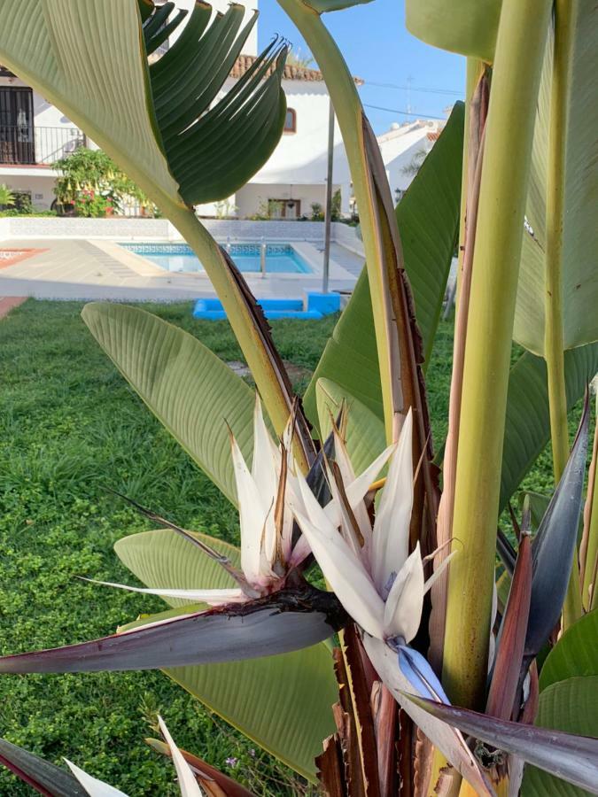 Willa Casa Maria Nerja Zewnętrze zdjęcie